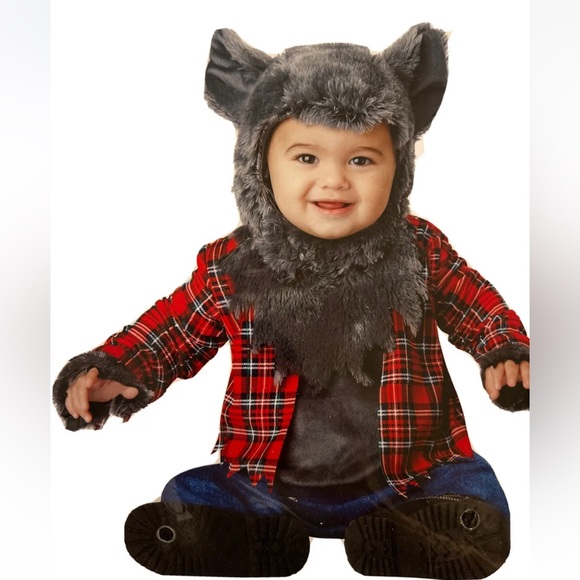 WOLF COSTUME baby 12-18 Months GRAY Animal FURRY Halloween FUR HEAD, SHIRT PANTS - Picture 1 of 11